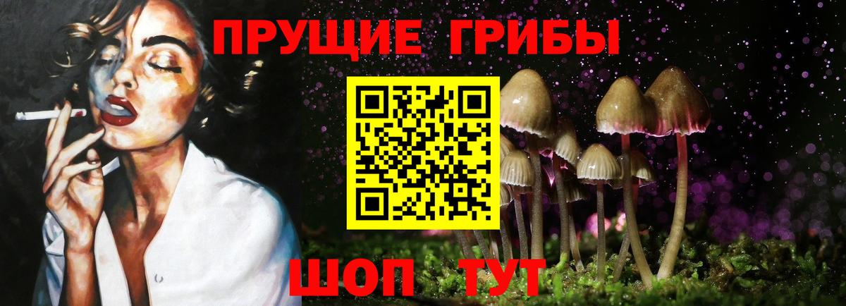 Псилоцибиновые грибы мухоморы  где найти   Псилоцибиновые грибы прущие грибы  Кондопога  Вход с VPN 